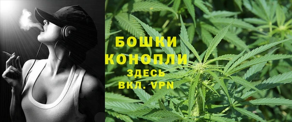 соль ск Арсеньев