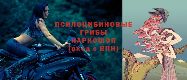 индика Нефтегорск